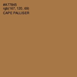 #A77845 - Cape Palliser Color Image